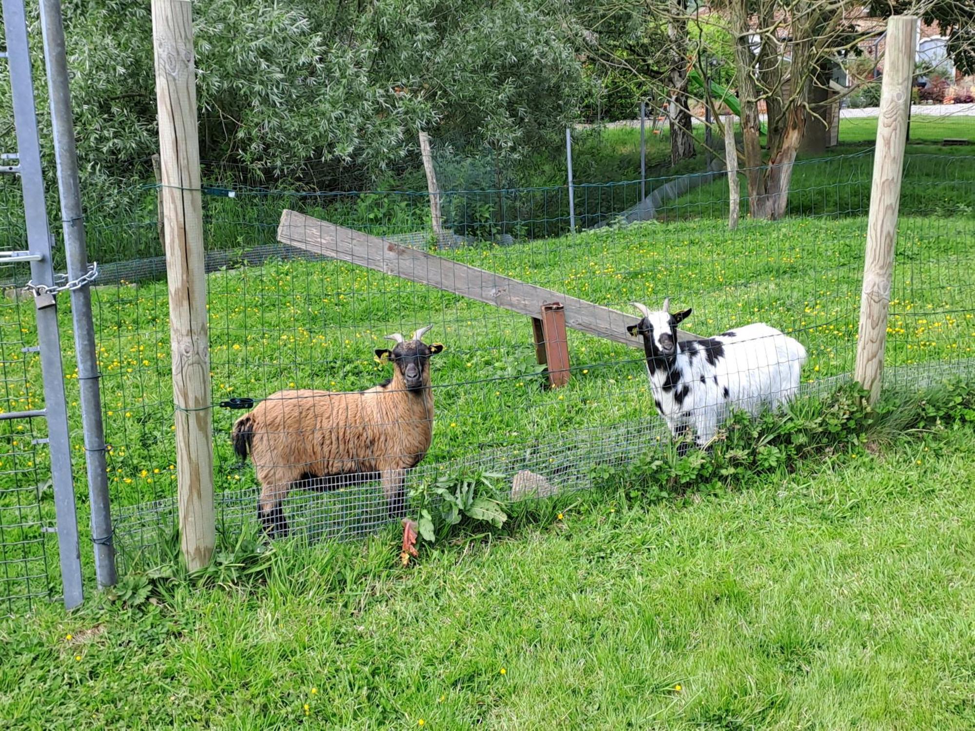 Monts De Flandre Insolite Berthen Exterior foto